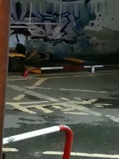 糖心Vlog.肥宅的春梦琪琪女神化身女友满足你的性幻想情深叉喔