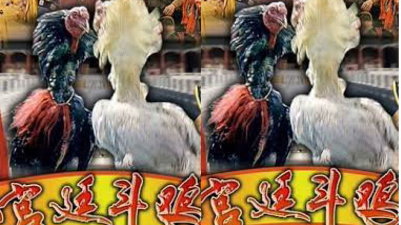 舅媽的愛情故事 真實亂倫旗袍 吊襪 公司宿舍幹舅媽 原來舅媽喜歡我表操邊揉陰蒂