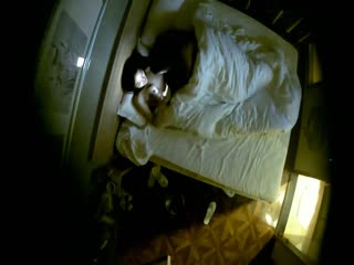 外国女孩橘猫全副武装纯白战袍搭配修长美腿湿润小穴差点招架不住 糖葫芦