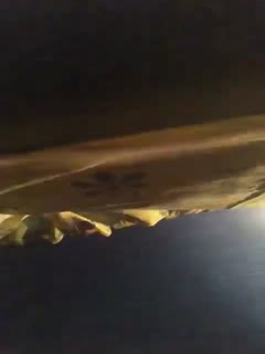 邻居家小女儿调教成母狗，小姑娘真的太好骗了