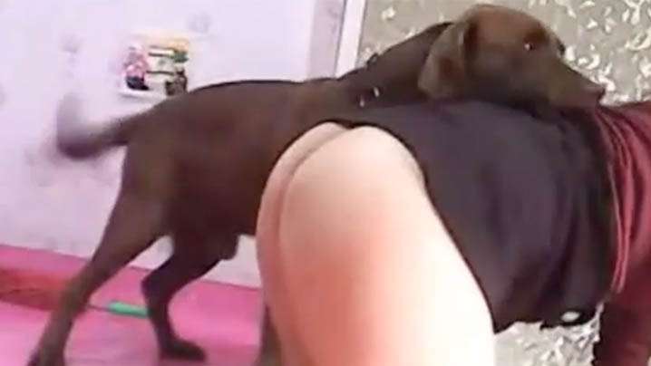 肛门咨询 放学后在八爪鱼房进行灌肠，无麻醉的2穴扩张插入严守 百惠美琴 SOAN121