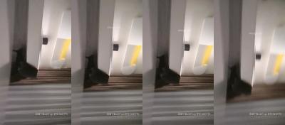 [HD 5.46G] [破解] PPPD731 彼女のお姉さんは巨乳と中出しOKで僕を誘惑 香坂紗梨